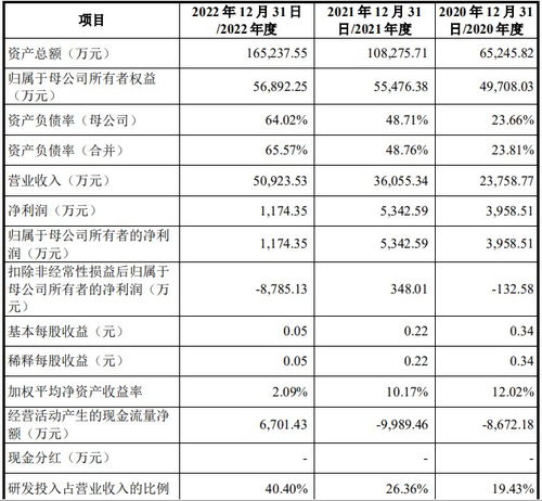 中科飛測啟動申購 國產(chǎn)集成電路檢測設(shè)備邁入28nm時代